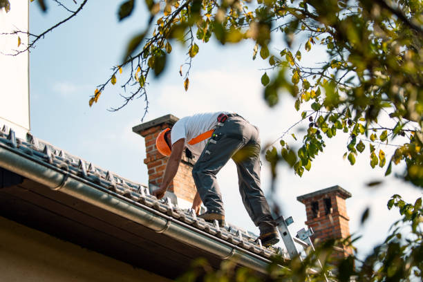 Best Roof Gutter Cleaning  in Kentwood, LA