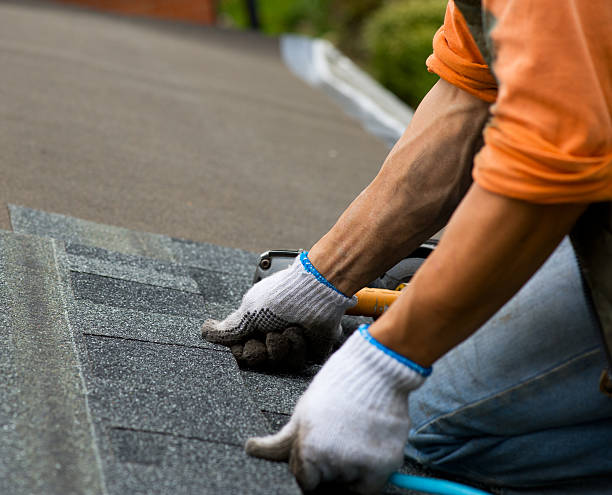 Best Gutter Installation and Roofing  in Kentwood, LA